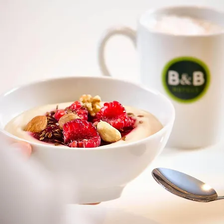 B&B Hotel Ruesselsheim فندق روزلسهايم